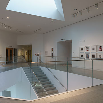 an overview, wide-angle shot of the gallery for the Shooting Stars 2024 exhibit at the Nerman Museum of Contemporary Art
