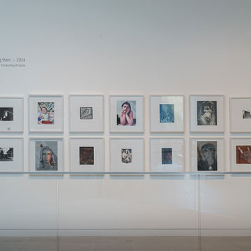 Artwork hanging on the gallery wall at the Shooting Stars exhibition at the Nerman Museum of contemporary art