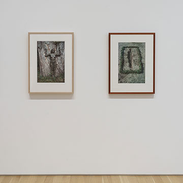 prints hang in a row on the gallery wall for the Actions for the Earth Exhibition at the Nerman Museum