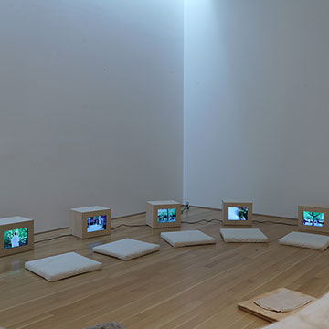 illuminated boxes sit on the floor of the gallery for the Actions for the Earth Exhibition at the Nerman Museum