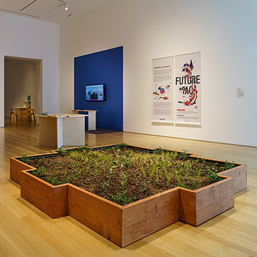 plants grow from an art installation at the Actions for the Earth Exhibition at the Nerman Museum