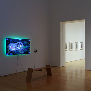 a view of art on display for the Actions for the Earth Exhibition at the Nerman Museum